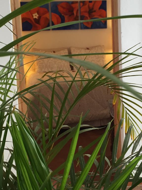 Casa Molcajete Apartment Мексико Сити Екстериор снимка
